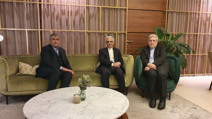 رئیس سازمان انرژی اتمی ایران وارد وین شد رئیس سازمان انرژی اتمی ایران وارد وین شد