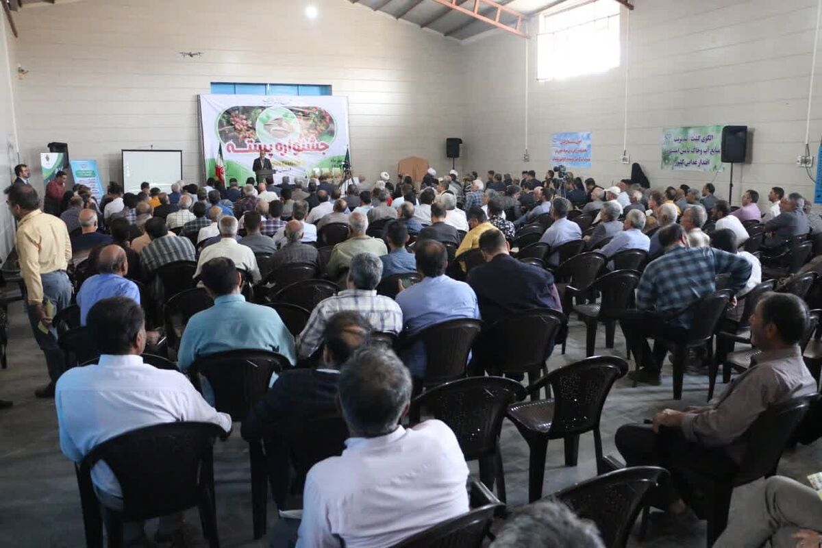 برگزاری جشن شکرانه برداشت پسته در کویر تشنه قم| بازارهای جهانی منتظر طلای سبز