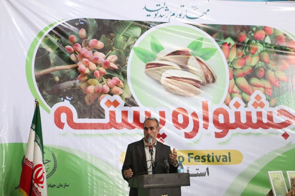 برگزاری جشن شکرانه برداشت پسته در کویر تشنه قم| بازارهای جهانی منتظر طلای سبز