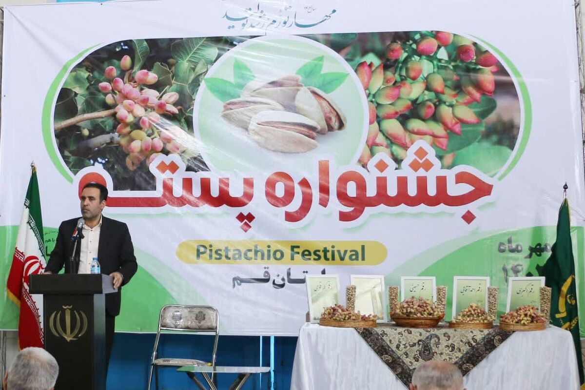 برگزاری جشن شکرانه برداشت پسته در کویر تشنه قم| بازارهای جهانی منتظر طلای سبز