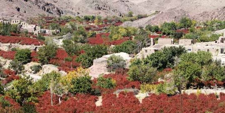 تصویب ۵ طرح جدید سرمایه‌گذاری گردشگری در خراسان‌شمالی