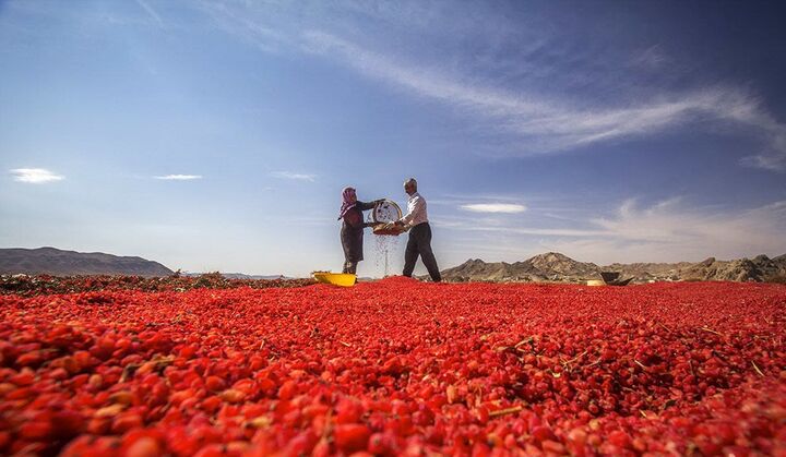 ورود بیش از ۳۷۰ گردشگر خارجی در فصل پاییز به خراسان جنوبی