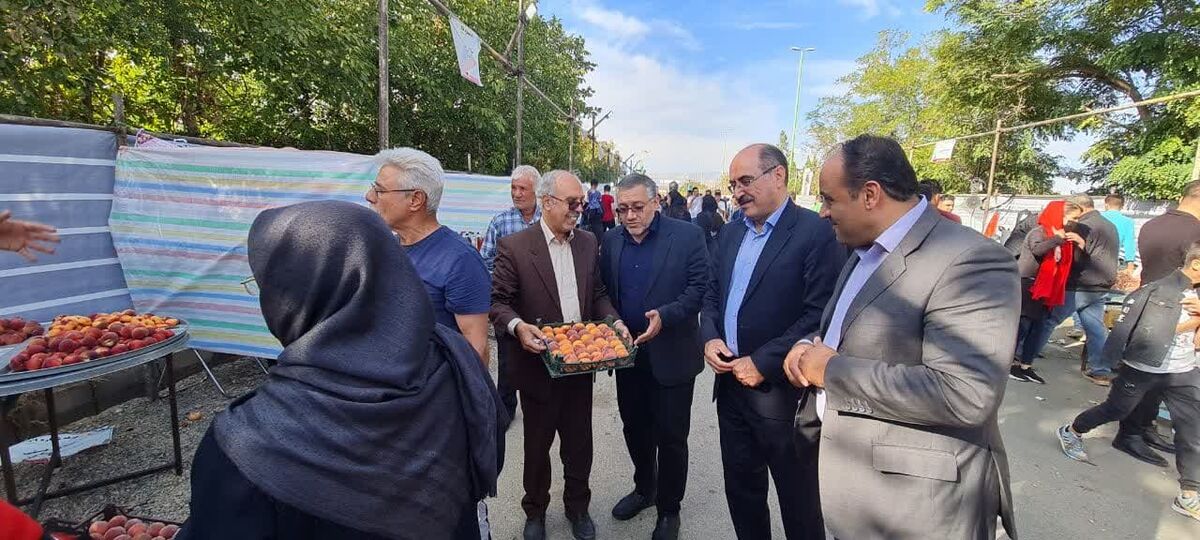 رتبه اول ایران در تولید ماهیان سردآبی در دنیا | افزایش تولید ماهیان زینتی در آذربایجان شرقی