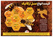قیمت  انواع عسل  ارگانیک