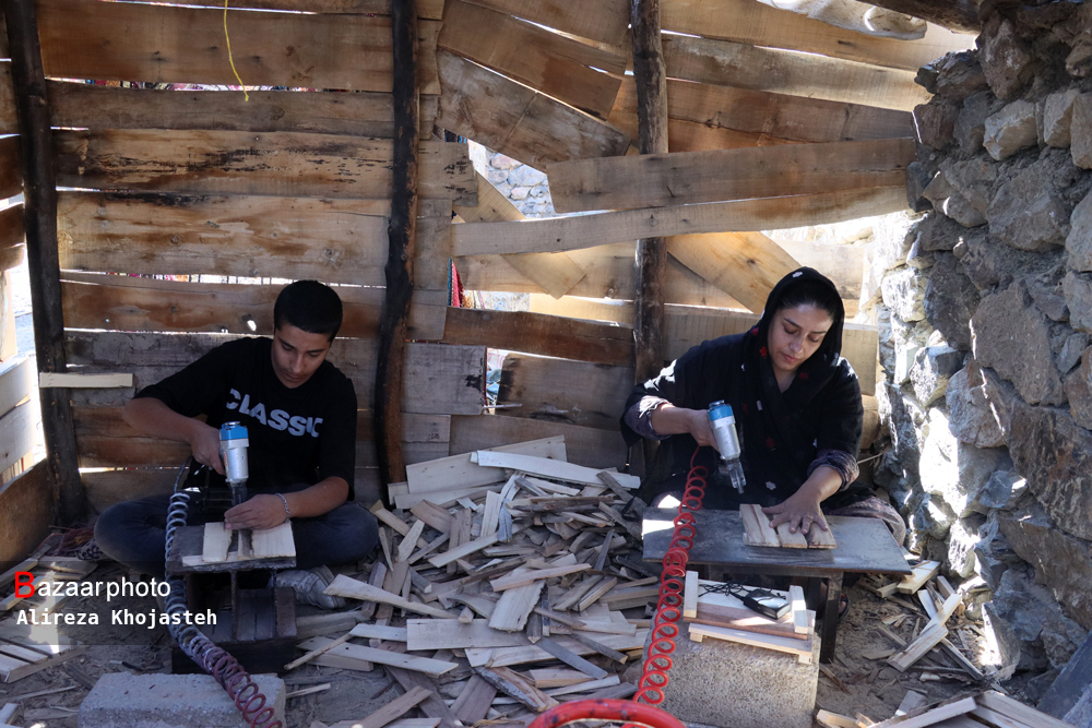 اجرای زنجیره سبز بنیاد برکت در مناطق مرزی غربی کشور؛ اصلاح نژاد نهال تا کشاورزی و فرآوری تولیدات