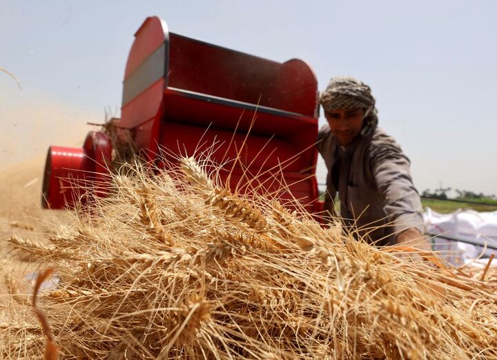 ۳۸ میلیارد تومان تسهیلات کشاورزان خسارت‌دیده در قزوین امهال شد