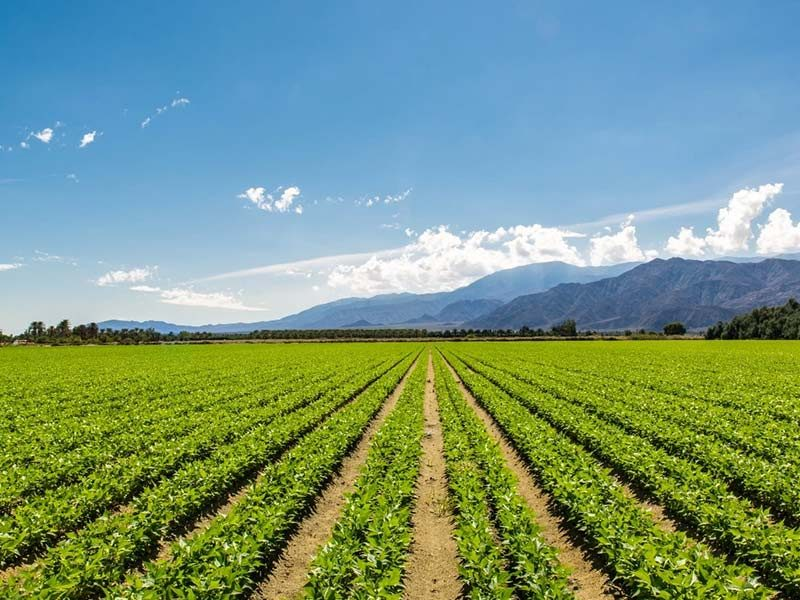 انواع پودرهای معدنی و کاربردهای آن در صنعت