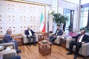 وزیر کار و امور اجتماعی جمهوری ارمنستان وارد ایران شد
