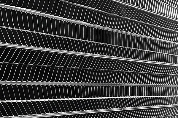 همه چیز در خصوص قیمت رابیتس همه چیز در خصوص قیمت رابیتس