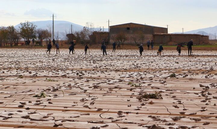 خدمت رسانی ستاد اجرایی و گروه های جهادی در کالپوش خدمت رسانی ستاد اجرایی و گروه های جهادی در کالپوش