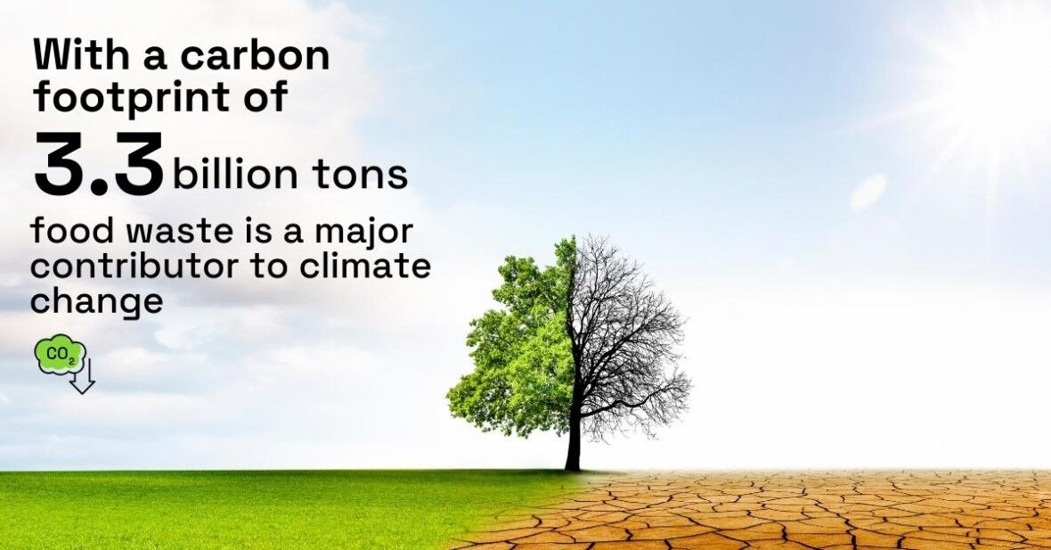 کدام مواد غذایی بیشترین ضایعات را دارند؟| نگاهی به آخرین آمار ضایعات مواد غذایی در جهان