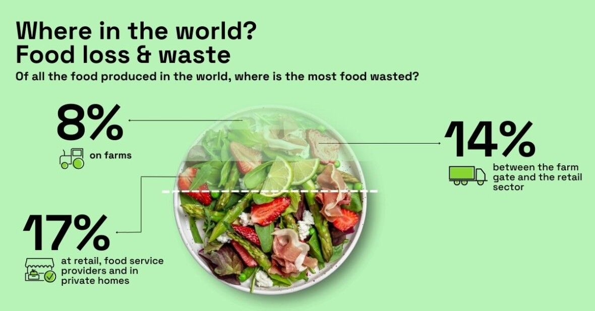 کدام مواد غذایی بیشترین ضایعات را دارند؟| نگاهی به آخرین آمار ضایعات مواد غذایی در جهان