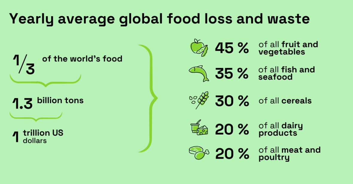 کدام مواد غذایی بیشترین ضایعات را دارند؟| نگاهی به آخرین آمار ضایعات مواد غذایی در جهان