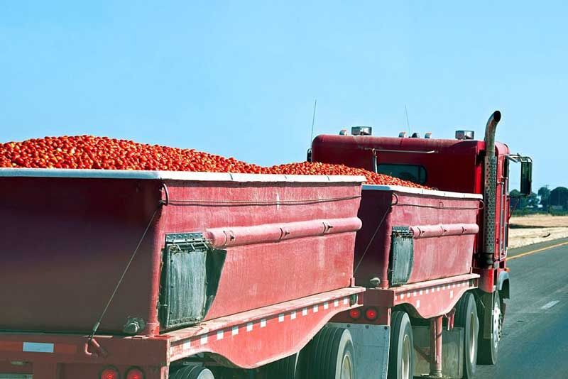 توسعه صنایع تبدیلی در گرو بهره گیری از همه ظرفیتها| هدررفت ۱۱۰ هزار تن محصول کشاورزی