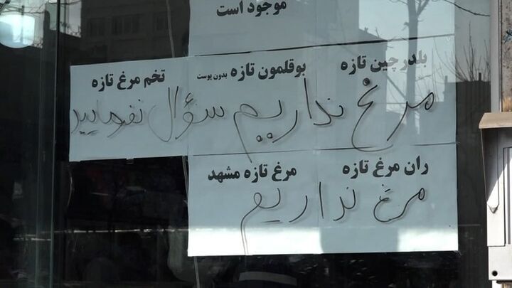 تامین ارز عامل بی انگیزگی وارد کنندگان نهاده دامی| ریشه مشکلات از مرزهای شمالی تا بندرگاه های جنوبی