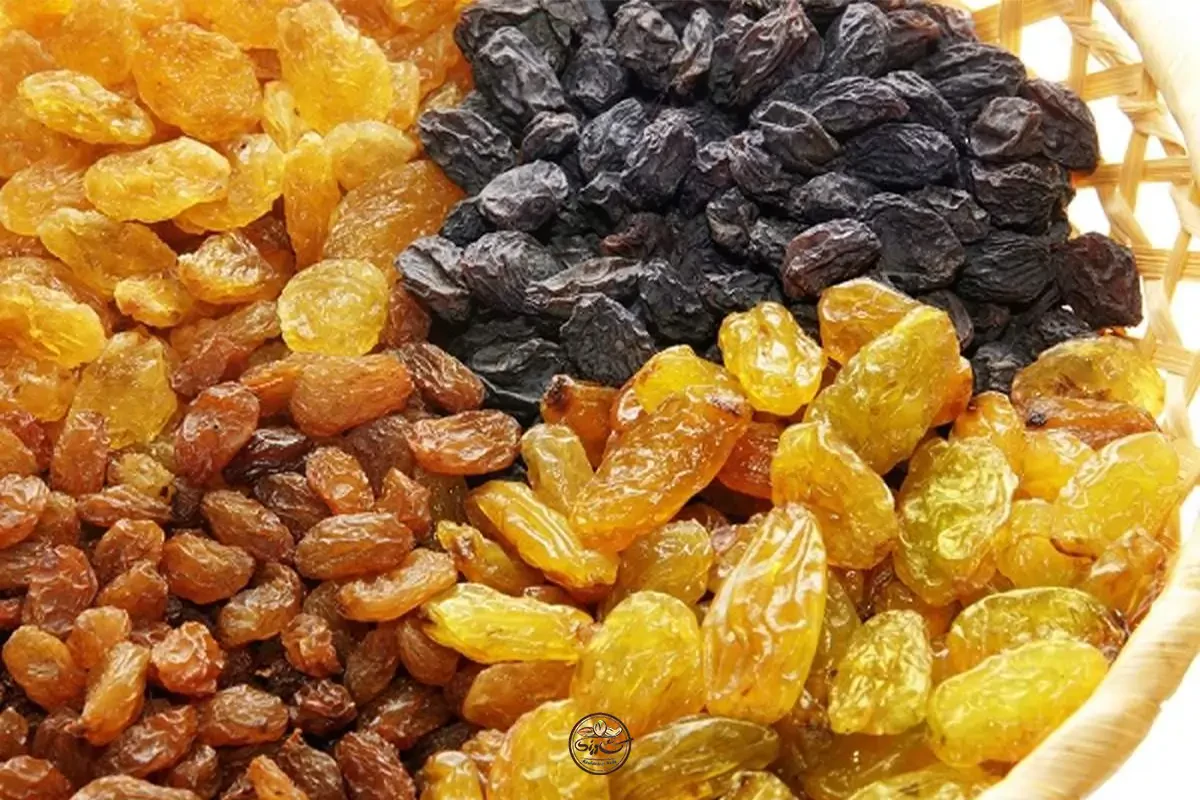 فرش کشمش و مویز