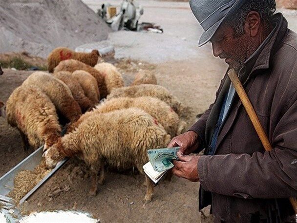 دست مردم به «گوشت» نمی رسد | مسئولان؛ «حباب است»