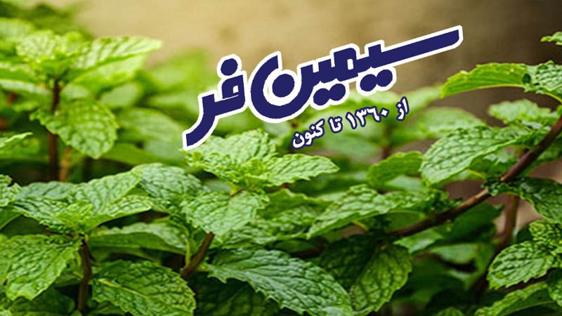 شرکت سیمین فر