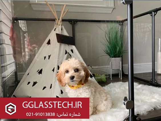 پارک سگ شیشه ای