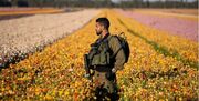 فرار کارگران خارجی کشاورزی اسرائیل را متحمل صدها میلیون دلار زیان کرده است