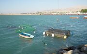 ۴۰ مزرعه جدید ماهی در قفس در دریای مازندران احداث می شود