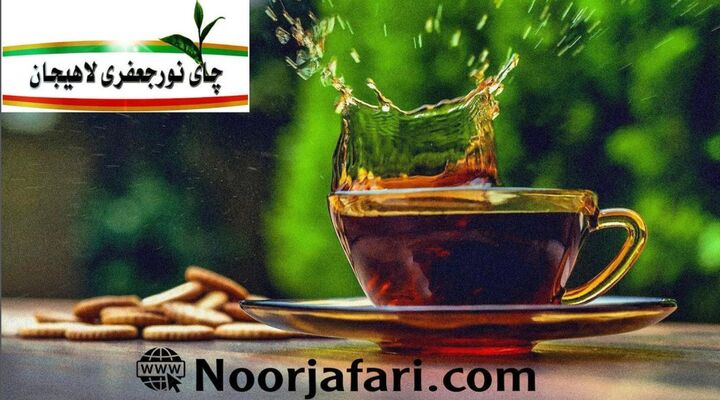 آشنایی با خواص چای ایرانی شمال لاهیجان