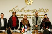 اعضای هیئت مدیره انجمن صنفی مبل گلستان انتخاب شدند 
