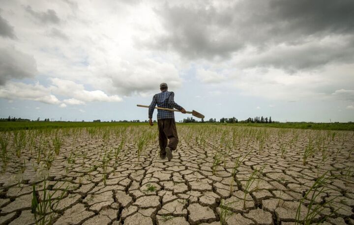 پاداش ۱۰ میلیون تومانی به کشاورزان صرفهجو پاداش ۱۰ میلیون تومانی به کشاورزان صرفهجو