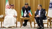 تعمیق روابط برادرانه ایران و عربستان، به دست بخش خصوصی میسر خواهد بود