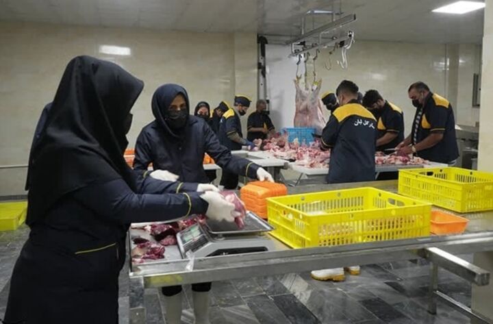 راه اندازی واحد تولید و فرآوری گوشت قرمز در شهرک صنعتی بوشهر| ۴۵ میلیارد تومان سرمایه گذاری شد