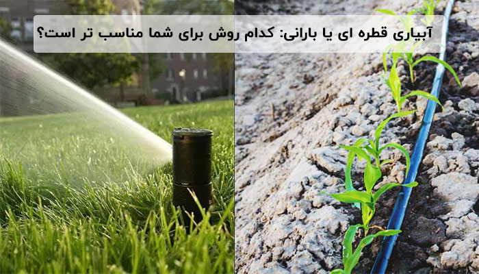 آبیاری قطره ای یا بارانی: کدام روش برای شما مناسب تر است؟