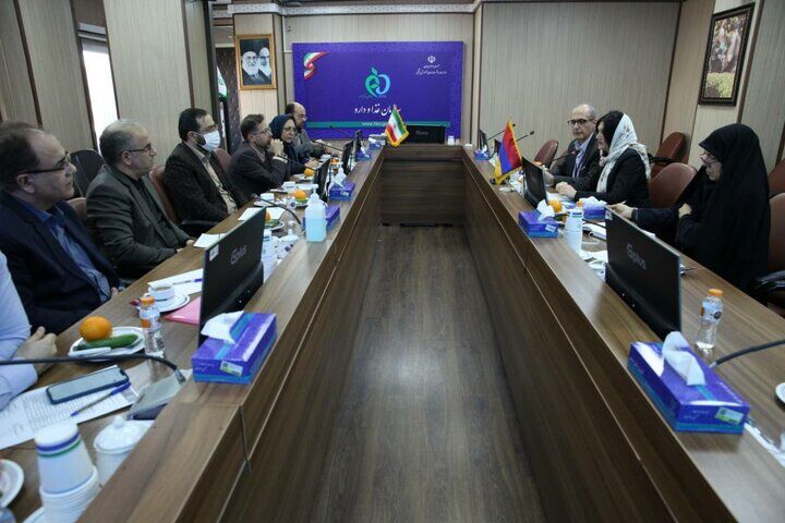 آمادگی برای صادرات دارو و تجهیزات پزشکی به ارمنستان آمادگی برای صادرات دارو و تجهیزات پزشکی به ارمنستان