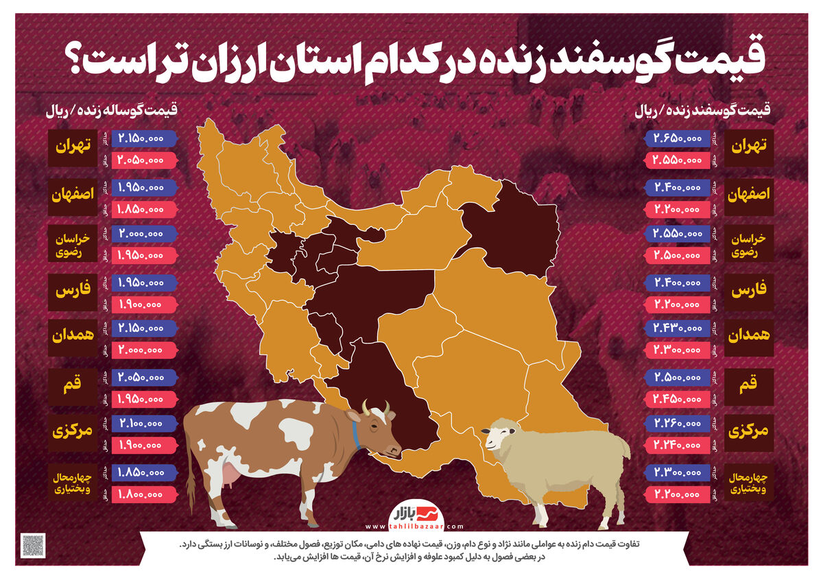 قیمت گوسفند زنده در کدام استان ارزان تر است؟