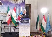روابط اقتصادی ایران و تاجیکستان در سه سال اخیر ۵ برابر شده است