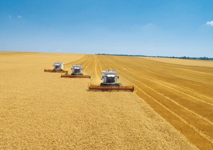 ذخایر غلات ایران بیشتر از همه دنیا بهجز ۶ کشور شد ذخایر غلات ایران بیشتر از همه دنیا بهجز ۶ کشور شد