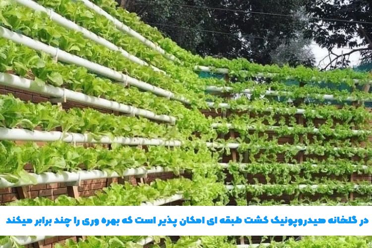 هزینه ساخت گلخانه 1000 متری هیدروپونیک