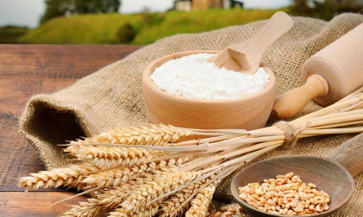 سطح مبارزه علیه بیماری های گندم به ۸۰۶ هزار هکتار رسید سطح مبارزه علیه بیماری های گندم به ۸۰۶ هزار هکتار رسید