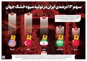 سهم ۱۳ درصدی ایران در تولید میوه خشک جهان