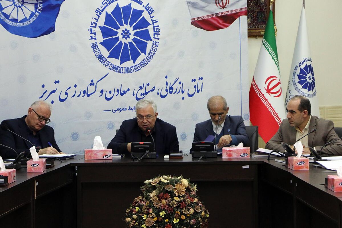 نقش ویژه بخش خصوصی در جلوگیری از مهاجرت| بسیاری از نخبگان در کشور اتلاف میشوند