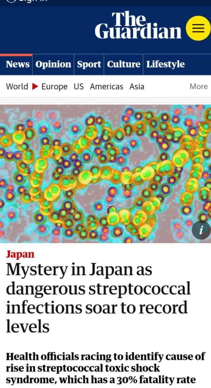 شایع شدن بیماری عفونی در اثر باکتری در ژاپن