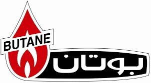 ریسکهای داخلی و خارجی گروه بوتان کدامند؟| بررسی اوضاع مالی سومین تولیدکننده آب گرمکن دیواری جهان