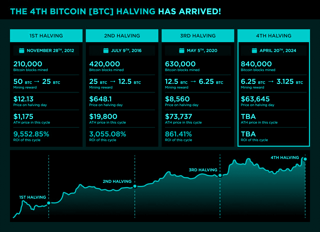 تکمیل چهارمین هاوینگ تاریخی بیت کوین| آیا روند قیمتی بیت کوین بار دیگر صعودی خواهد شد؟