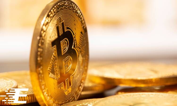 حساب ارزی پرفکت مانی