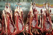 ۸۰۰ تن مرغ و گوشت در بازارهای استان سمنان توزیع شد