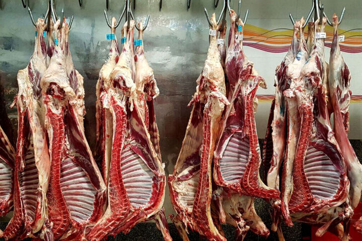 توزیع روزانه گوشت گرم به ۳۰۰ تن افزایش یافت توزیع روزانه گوشت گرم به ۳۰۰ تن افزایش یافت