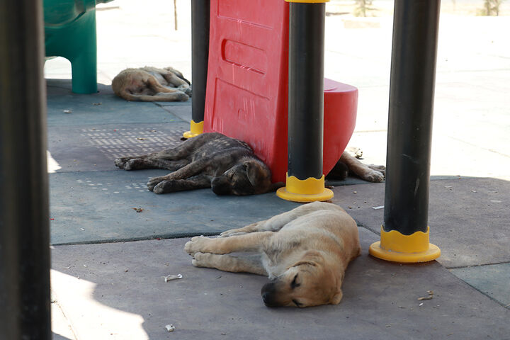 شهر جدید پرند