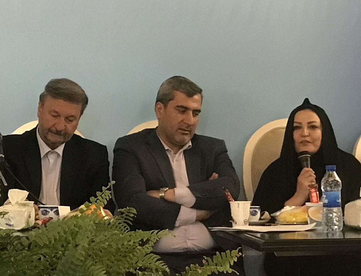 معضل «شهرک صنوف و ساختمان های پزشکان» شاهرود | قفل بر هسته مرکزی شهر