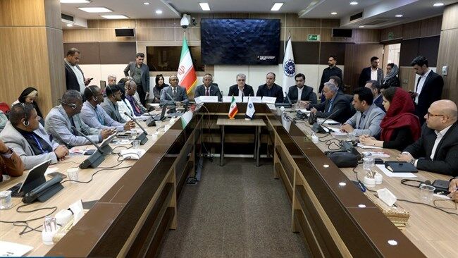 تشکیل شورای مشترک تجاری، سطح همکاری های ایران و آفریقای جنوبی را ارتقا می دهد