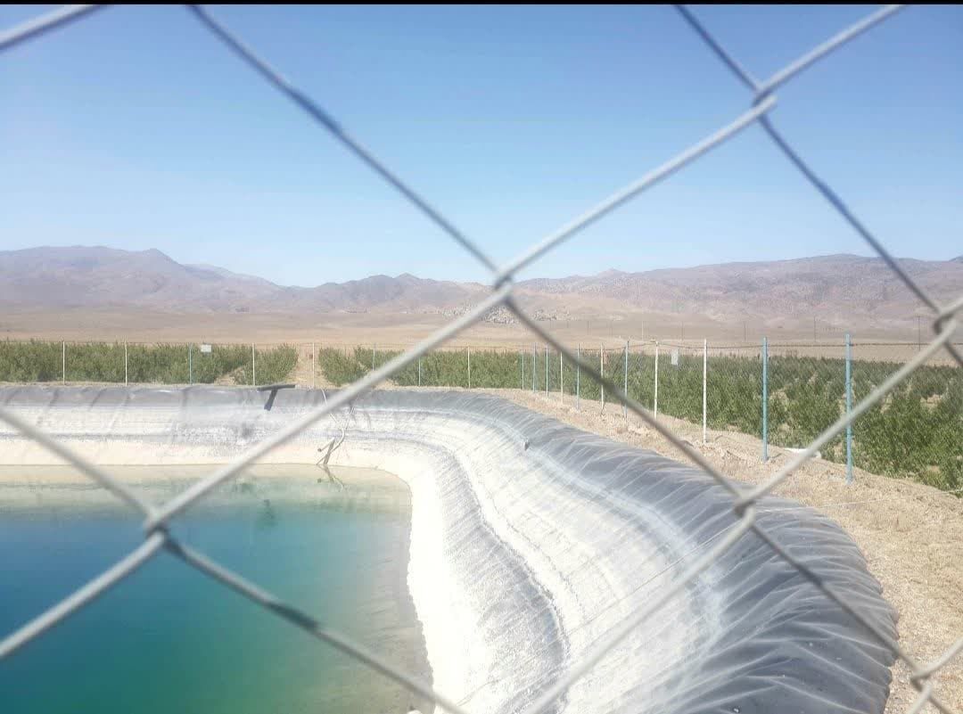 «تنش آبی» در شاهرود | وعده مسئولان عملی نشد