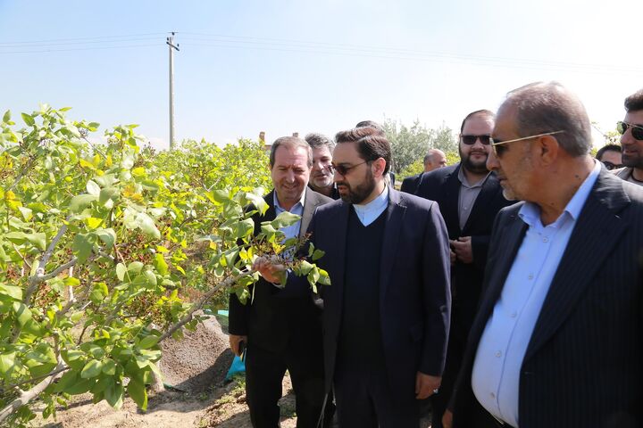 ضرورت تغییر الگوی کشت به سمت محصولات کمآببر در آذربایجان شرقی ضرورت تغییر الگوی کشت به سمت محصولات کمآببر در آذربایجان شرقی